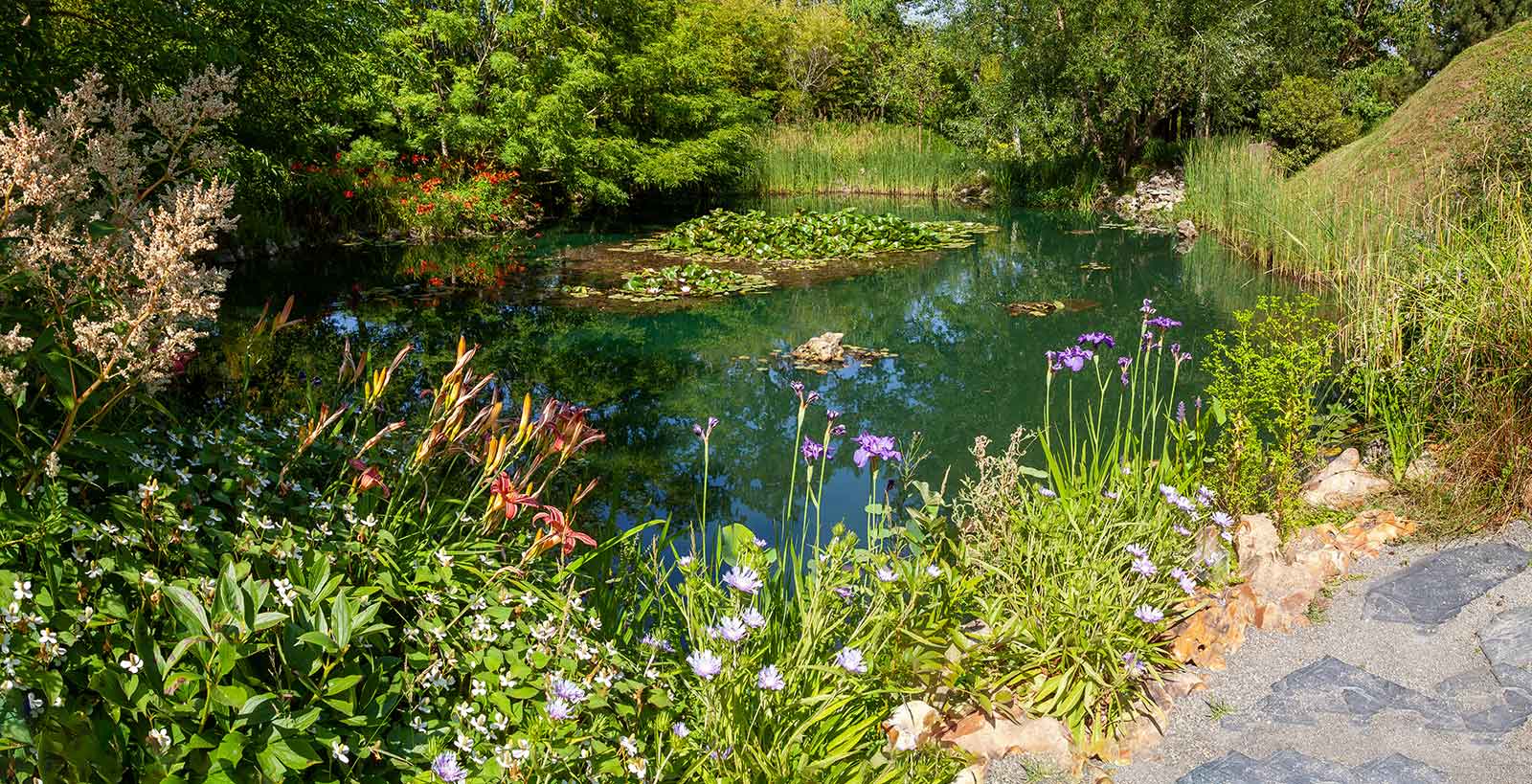 Mare de biodiversité